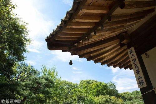 肃清风,重塑社会风气的时代使命