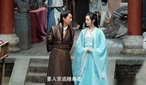 大夏第一赘婿,大夏王朝的逆袭传奇