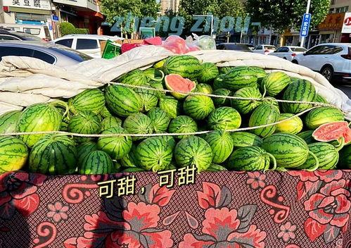 郑州吃瓜娱乐官网