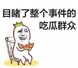娱乐吃瓜菌体育