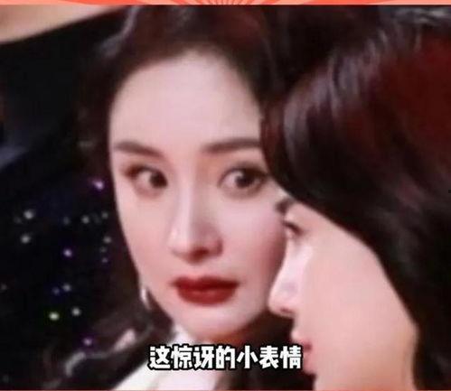 关于娱乐圈的吃瓜小说,幕后风云，瓜田乱舞